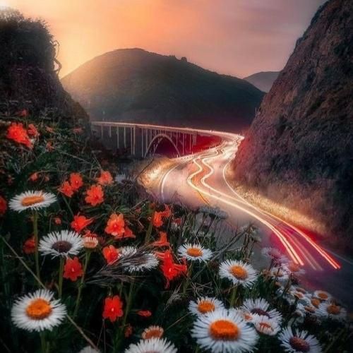  ابروی کمند داره رو لباش که قند داره