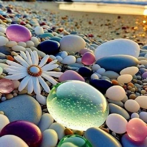 تو رو نمیدونم ولی من دلم میخواد برم یه ماه تعطیلات