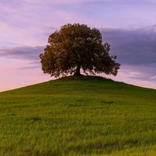 اصلا کی گفته چی درسته چی اشتباه با صدای دختر