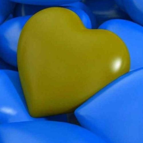 گفتی ولی راهی نیست بکن هرچی داری ریسک