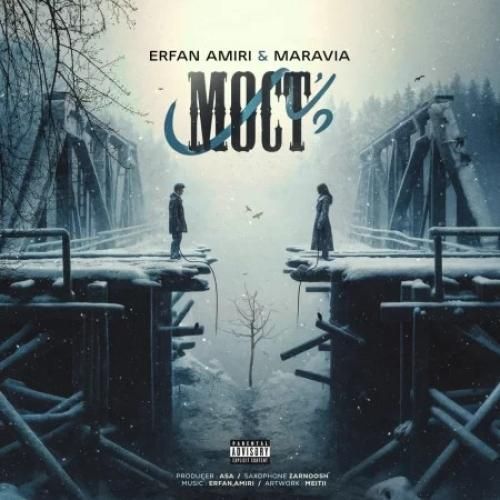 عرفان امیری پل