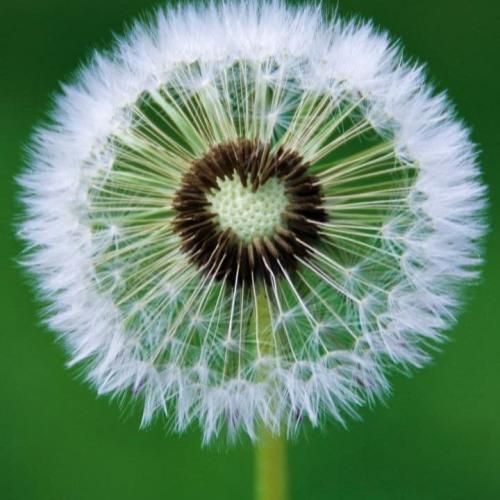  نگو تمومه عمر آشنایی نگو رسیده لحظه جدایی