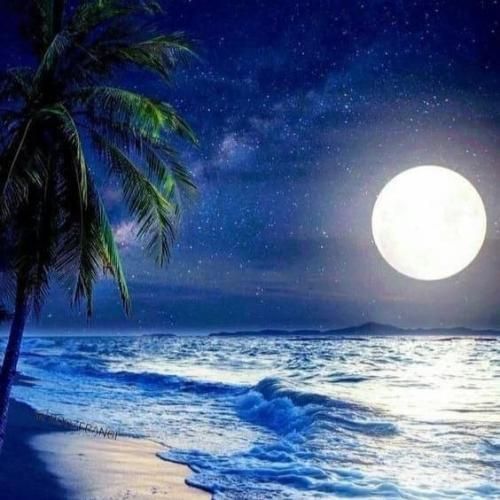  میس یو بیبی نیستی لیلی خیلی وقته که رفتی بیبی