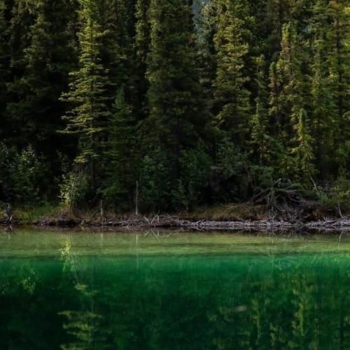 کافه های اطراف خونت پاتوقم شده عزیز جونم