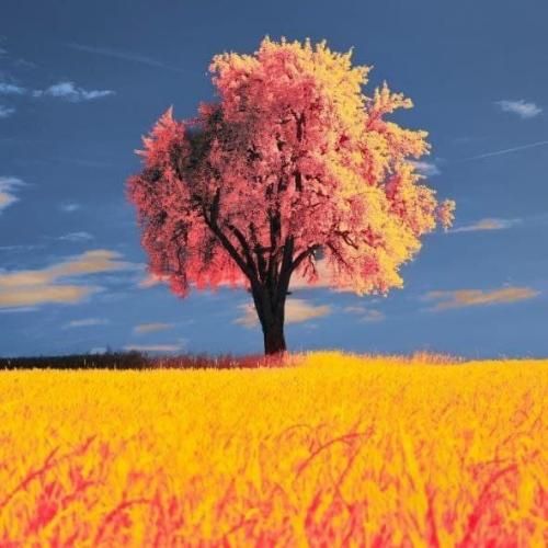  ای خانم یواش یواش با ما اینجوری نباش