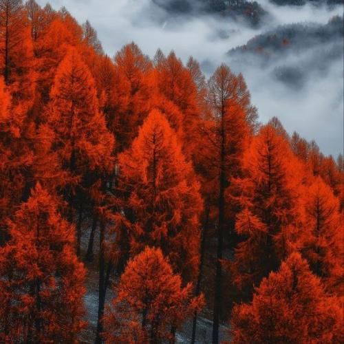 اگه بیای به خوابم سر میزارم رو شونت هوش مصنوعی