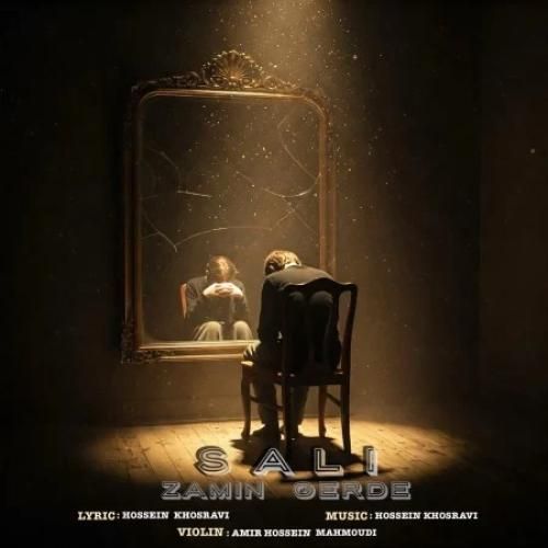 سالی زمين گرده