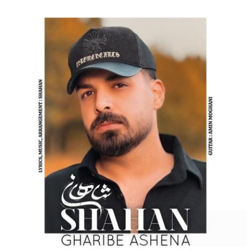 شاهان غریب آشنا