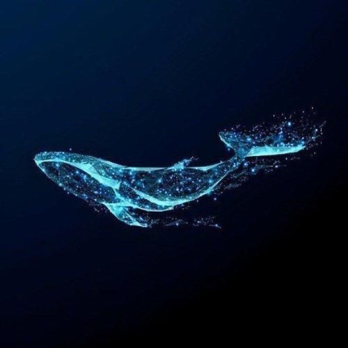  حس نمیکنم دیگه توی قلبم درد حال کسی نمیکنه