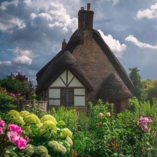 مید این ایرانی عشق چیسان فیسانی