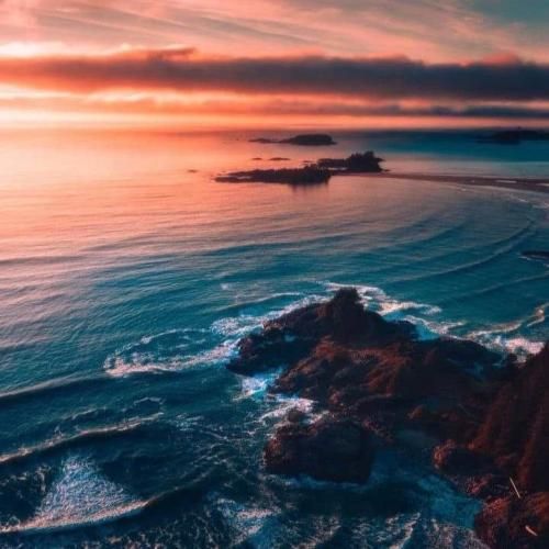 دوتا بطری هاینیکن زدیم همه چیو ولی بازم