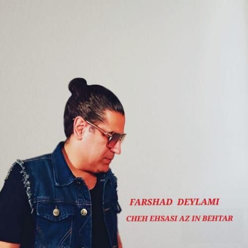 فرشاد دیلمی چه احساسی از این بهتر