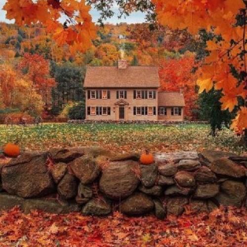 دانلود اهنگ منو یه جوری جا کن اون ته قلبت آره