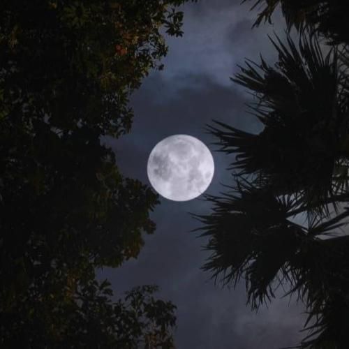 دانلود اهنگ نمیدونم کجا میریم با تو هیچ جا دوراهی نی دست تو دستیمو