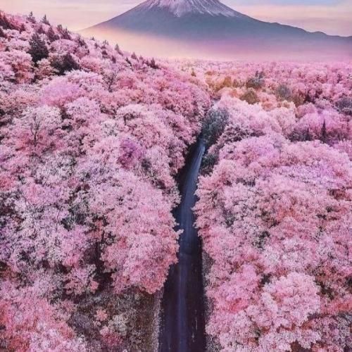 دانلود اهنگ نازارکم دردت سرم عه درد مه نیری خور