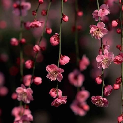 دانلود اهنگ تو یارو بی خدایی به هتین و بی وفایی