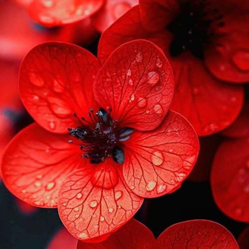 دانلود اهنگ بیا پیشم بمون تنها نمونم میخوام تا ابد واست بخونم