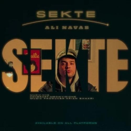 دانلود اهنگ علی نواب به نام سکته