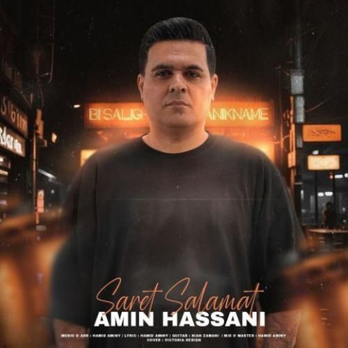 دانلود اهنگ امین حسنی به نام سرت سلامت