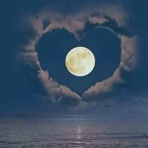 دانلود اهنگ کاش مال من بودی کاش بودیم دوتا ادم معمولی