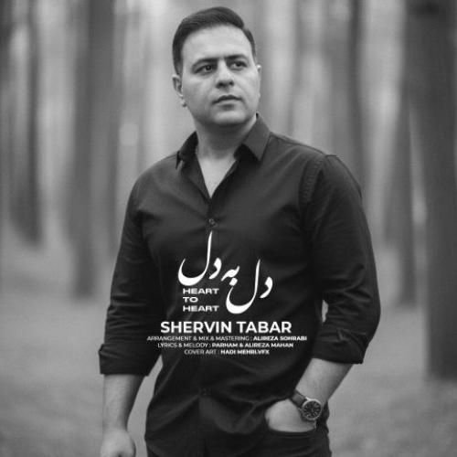 دانلود اهنگ شروین تبار به نام دل به دل