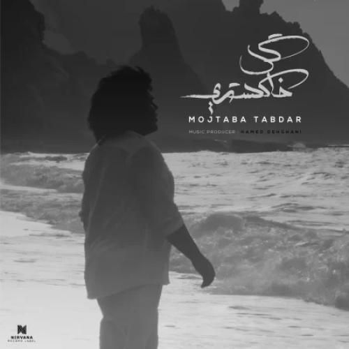 دانلود اهنگ مجتبی تابدار به نام گل خاکستری
