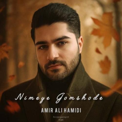 دانلود اهنگ امیر علی حمیدی به نام نیمه ی گمشده