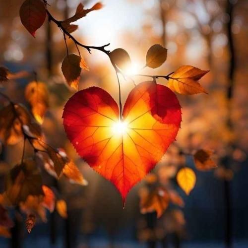 دانلود اهنگ تو یکی بخوا نخوا جون منی