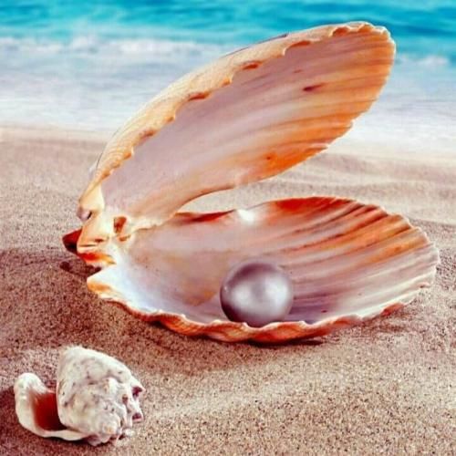 دانلود اهنگ سما خان به نام از پسری خوشم‌ میاد صاحب دین و ایمانه