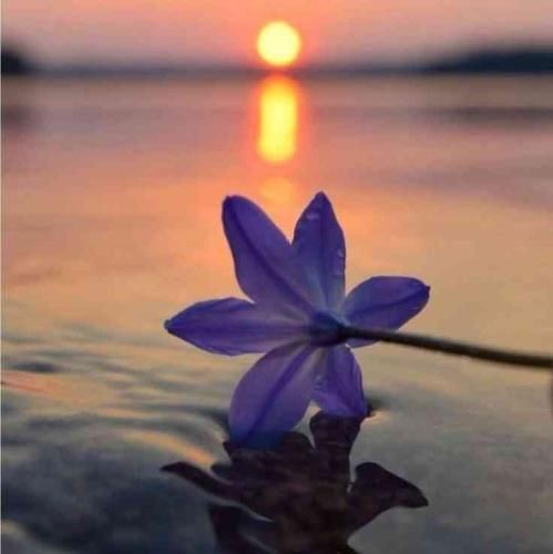 دانلود اهنگ تو که هم غصه و همدم نداری بگو پس کی تو