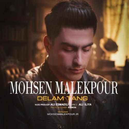 دانلود اهنگ محسن ملک پور به نام دلم تنگ