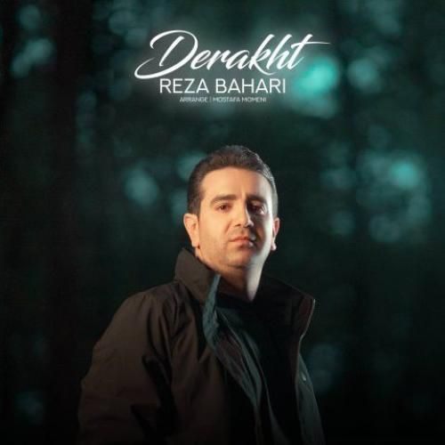 دانلود اهنگ رضا بهاری به نام درخت