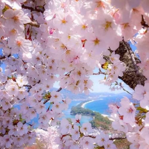 دانلود اهنگ دافا پایه ان وای نمیدونم دستم کجا رفت