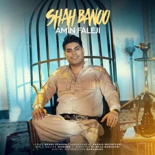 دانلود اهنگ امین فالجی به نام شاه بانو