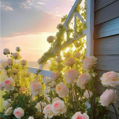 دانلود اهنگ تو حتی بدترین آدم زمینم باشی ما ول نمیکنیم