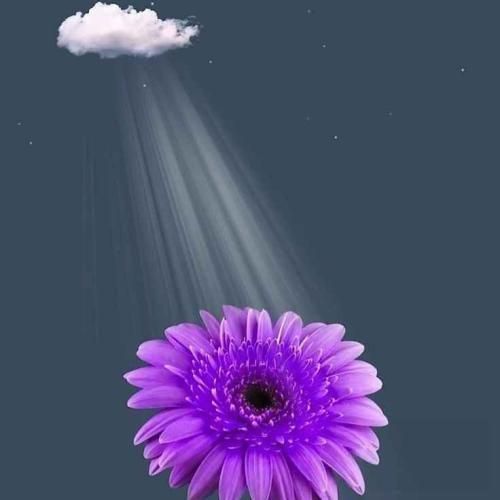 دانلود ریمیکس چه میکنه دختر بس نمیکنه دختر