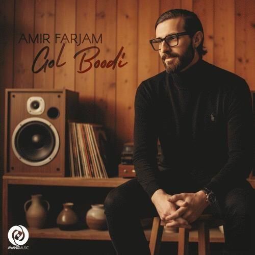 دانلود اهنگ امیر فرجام به نام گل بودی