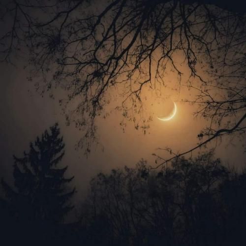 دانلود اهنگ نمیام لاف که تو بانده موزیکا همه تو دهن