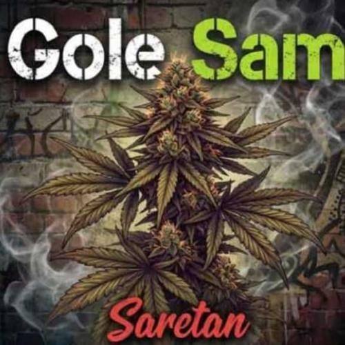 دانلود اهنگ آرش سرطان به نام گل سم