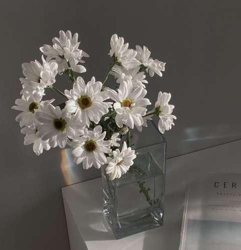 دانلود اهنگ ﭘﻴﺪا ﻛﺮدم آدﻣﺸﻮ ﺑﺎ ﺗﻮ ﻣﻴﺮم ﺗﺎ ﺗﻬﺸﻮ