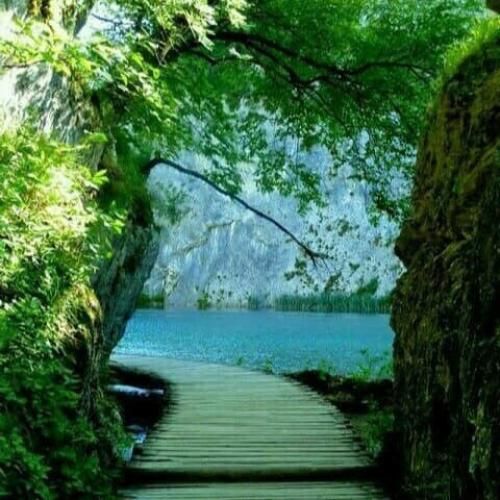  برو کل ذوق و شوق من من تورو توی قلبم کشتم