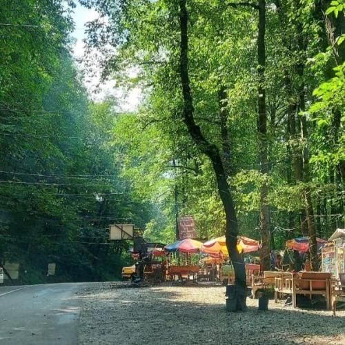 دانلود اهنگ رنگ چشات عسل طعم لبت عسل