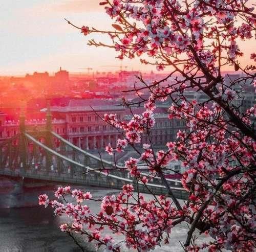 دانلود اهنگ یهو زد بوى برگا خیس بعد دونه برفا ریخت