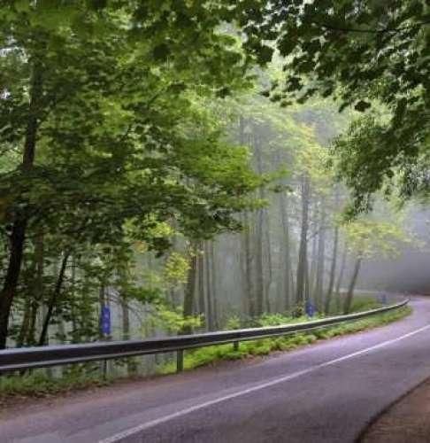 دانلود اهنگ میزنم زیرش غما دور میشن فکر تو میاد