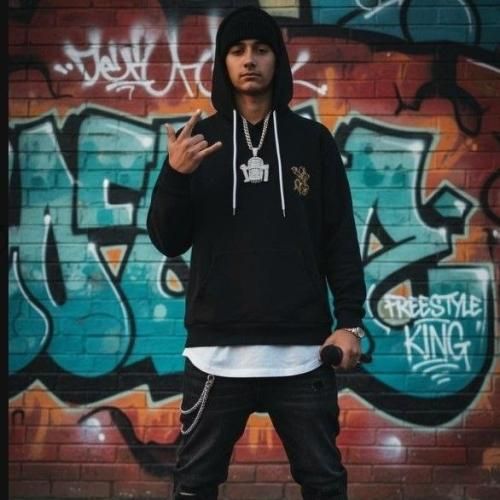 دانلود اهنگ شهراد اجي به نام ذوق مرگ بشم باحس و حال مرده