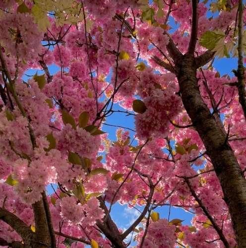 دانلود اهنگ اینجا از سایه و همسایه ی خودم میترسم