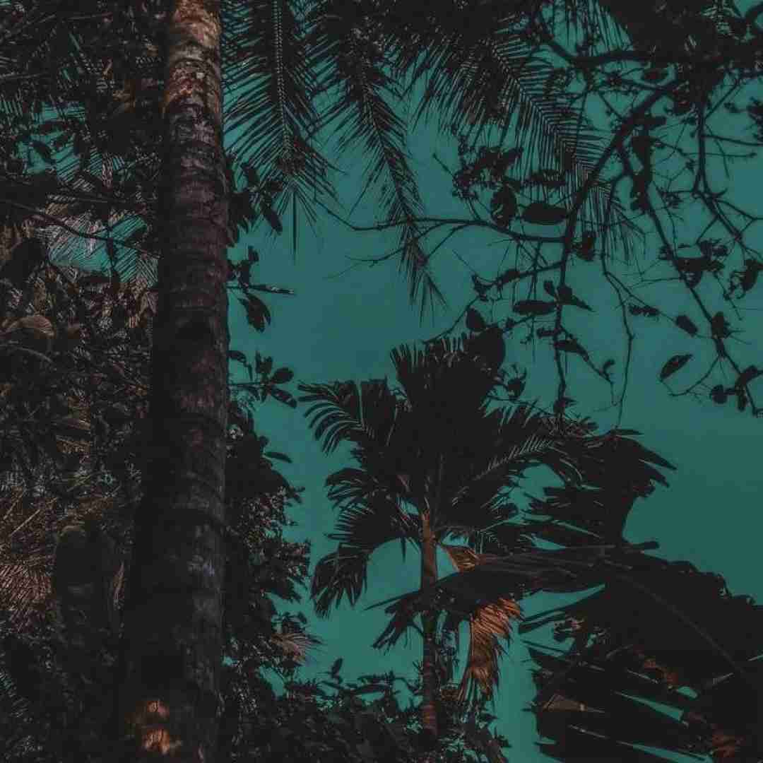 دانلود آهنگ قبرمه کاشی کنین کاشی دونه دونه