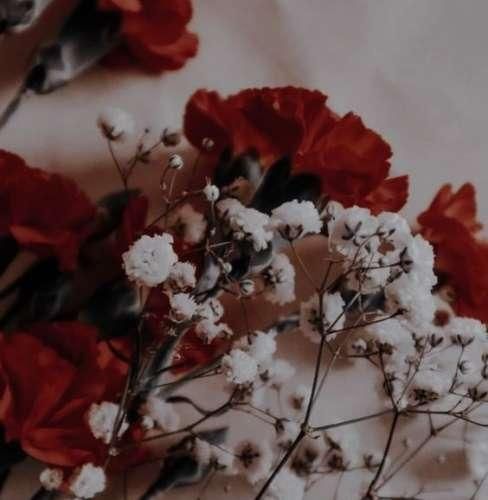 دانلود اهنگ روز بد رفیق نداره روز بد اکیپ نداره