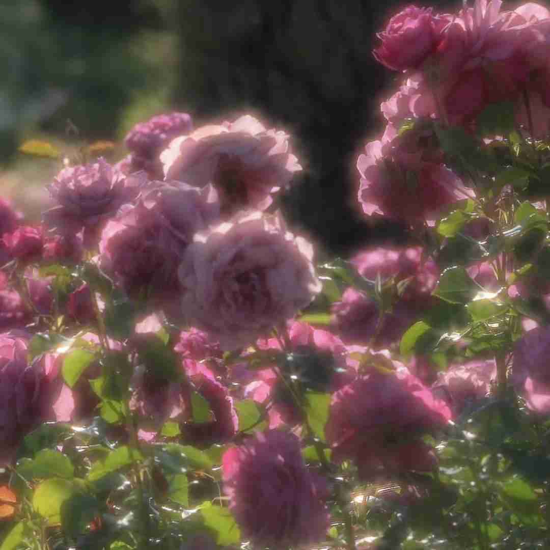 دانلود آهنگ بابا بگیر سرتو بالا حالم بده مثل وضع دلارا