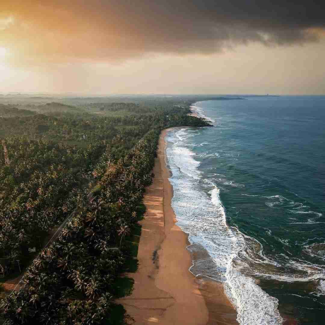 فرانسوی پدر کجایی – ترند